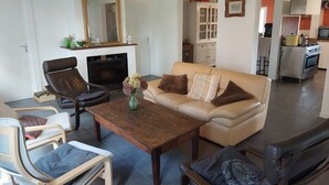TV, fireplace, books, video library - Landes océan - Rental house 230 m2, close to beaches (Mézos)