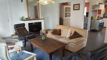 TV, fireplace, books, video library
