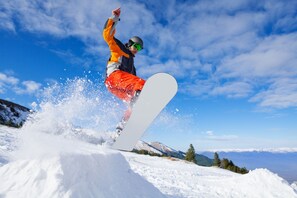 Sne- og skisport