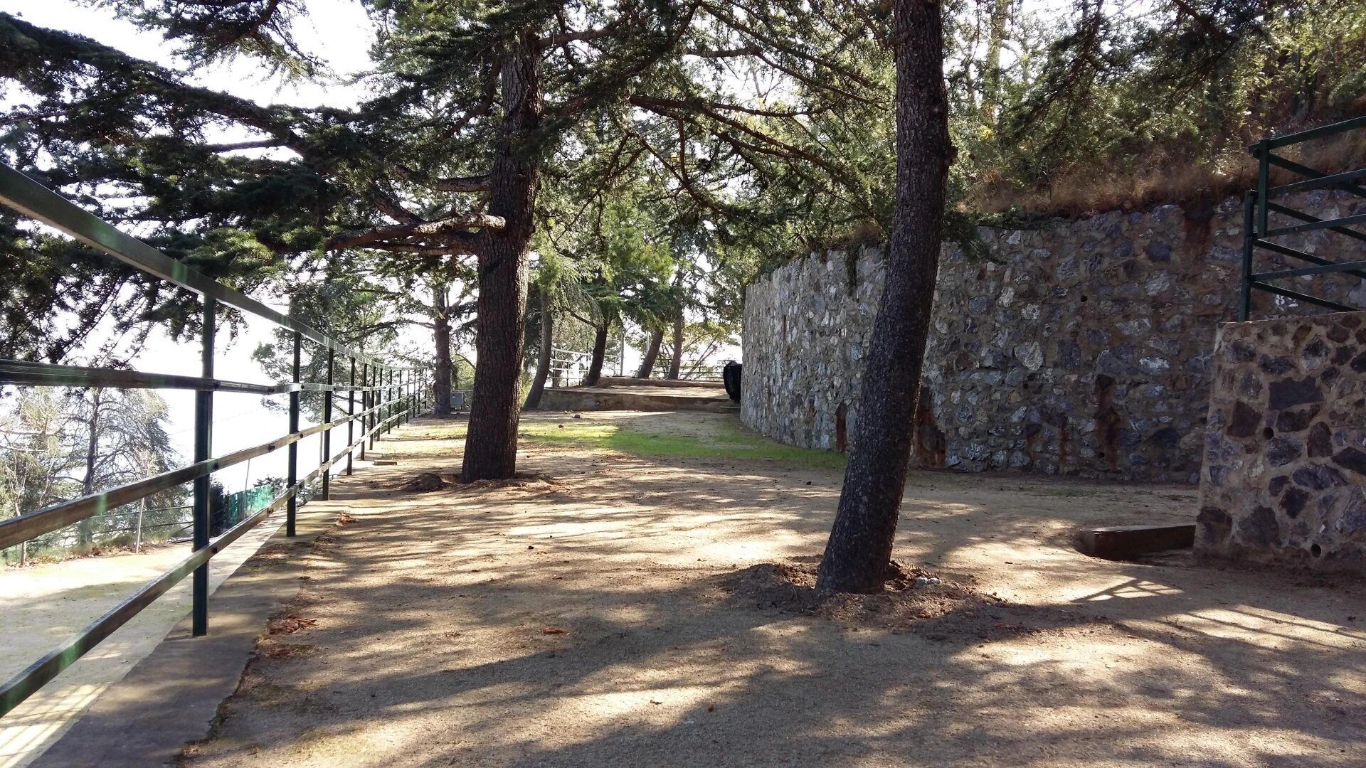 A pathway with trees, a stone wall, and a metal railing.