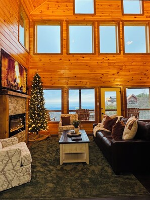 Smart TV, fireplace, video games, books