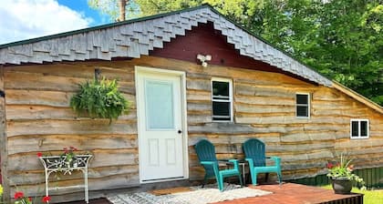 Cozy Cabin in Otter Lake
