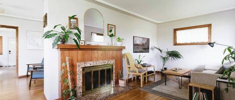 Smart TV, fireplace, books