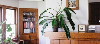 Historic 2-bedroom home in Tacoma - Quiet escape close to everything