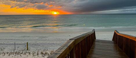 بالقرب من الشاطئ