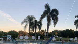 Una piscina con trampolín, sillas de descanso y palmeras al fondo.