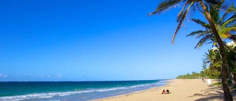 Chaises longues, serviettes de plage