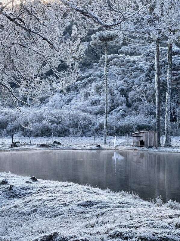 Un paisaje invernal sereno con un lago helado, una estructura de madera y árboles cubiertos de nieve.