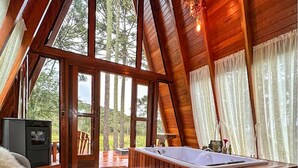 Una cabaña con interior de madera amplia, un jacuzzi y una alfombra de cuero.