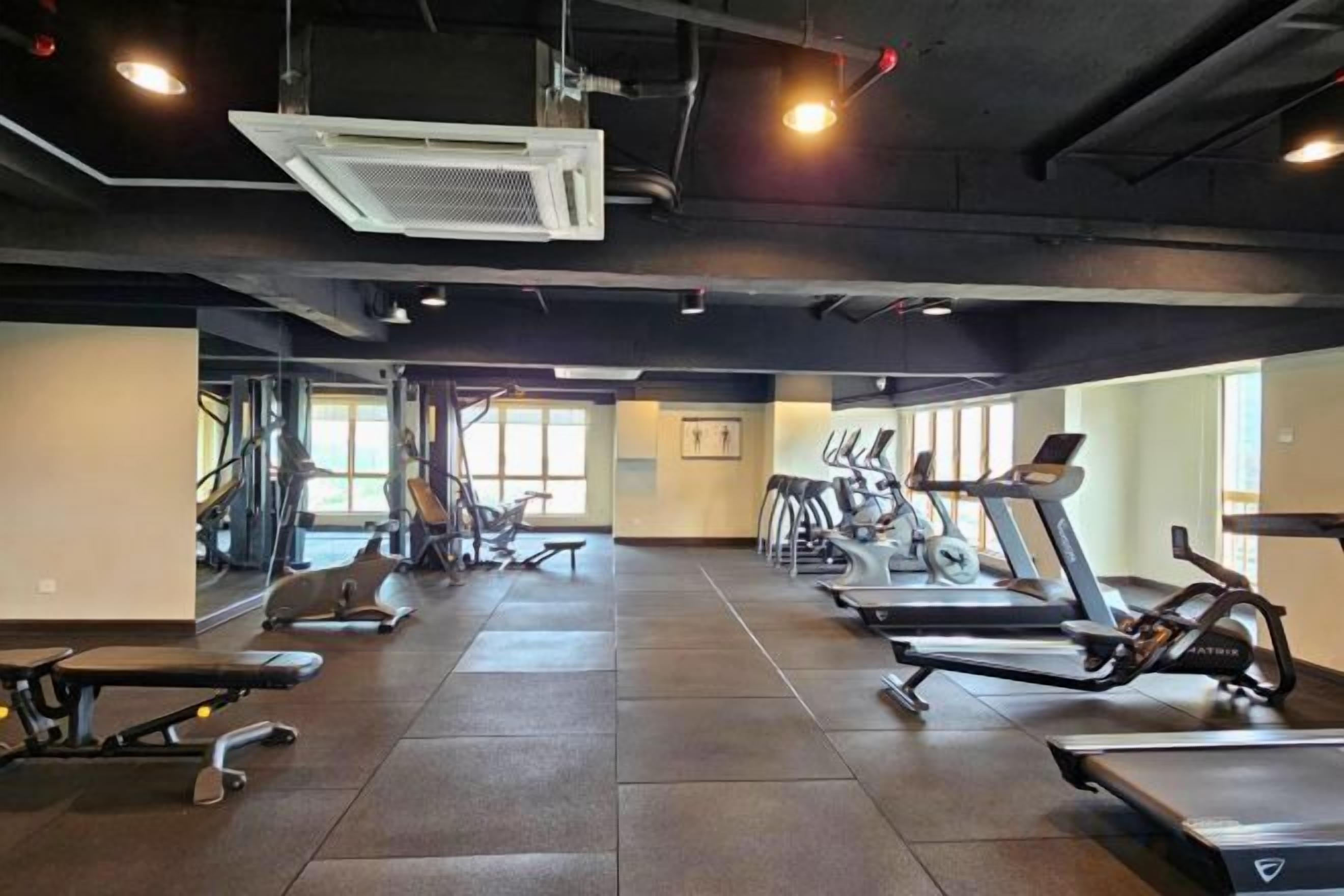 A gym with treadmills, elliptical machines, and weight benches.