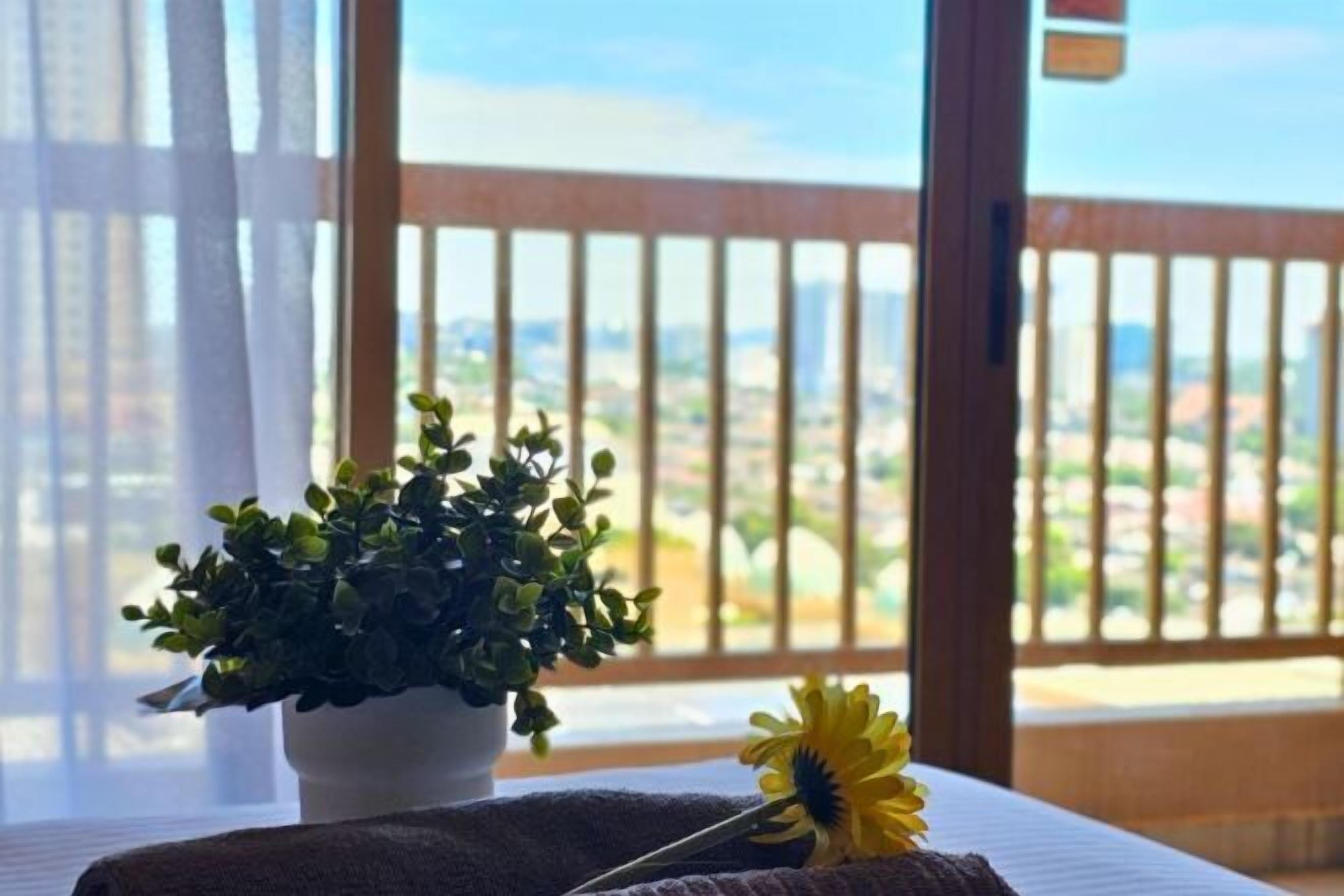 A balcony with a potted plant and a single flower on a towel.