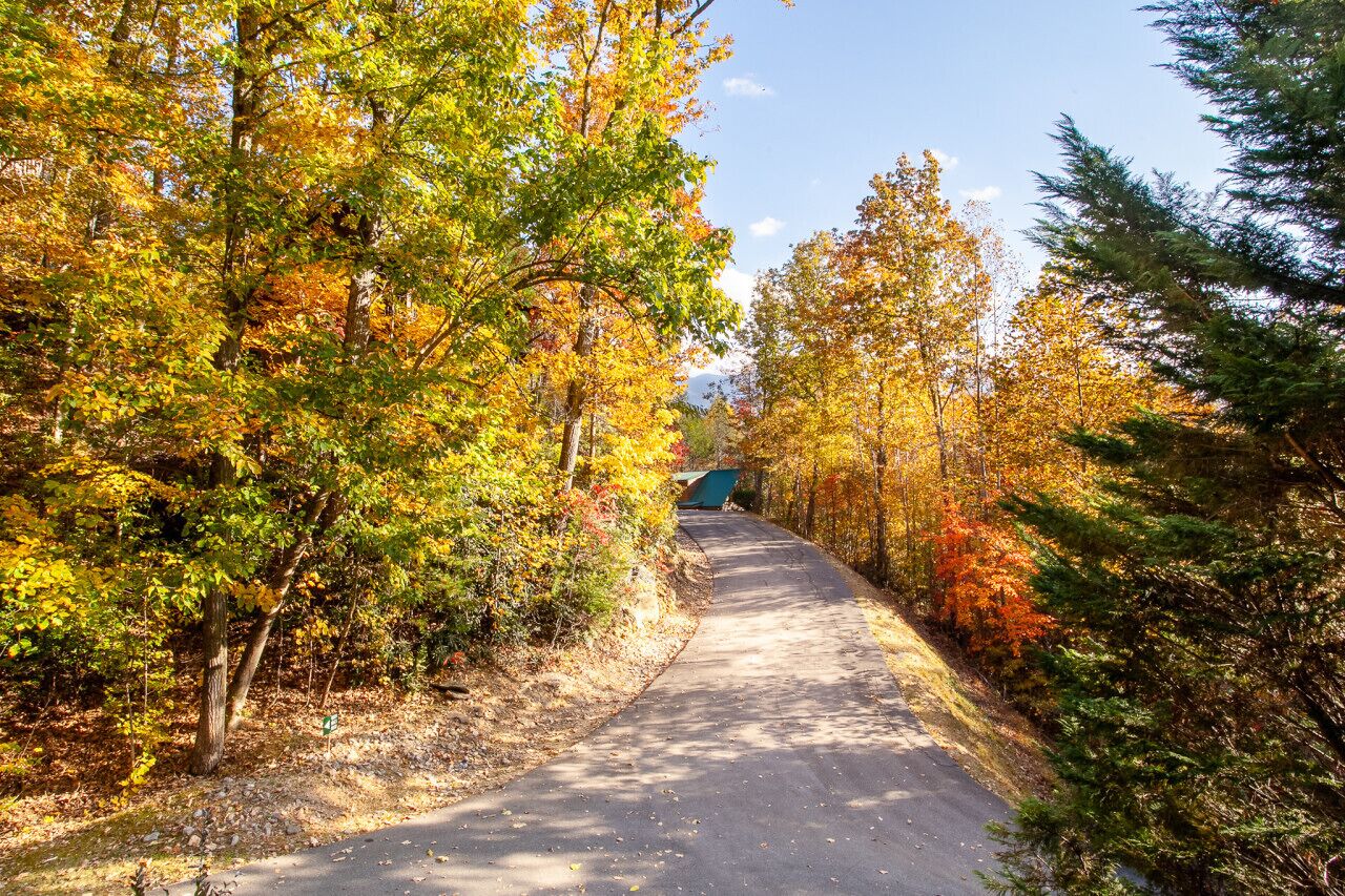 Un sendero pavimentado que atraviesa un bosque con follaje otoñal.