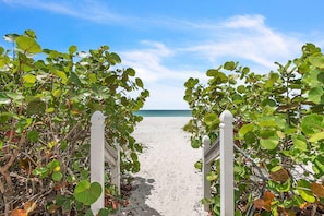 Un sendero bordeando la playa con barandas blancas y abundante vegetación que conduce al océano.