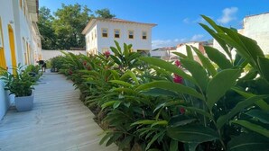 Un sendero pavimentado bordeado por plantas verdes exuberantes y un edificio blanco con detalles amarillos.