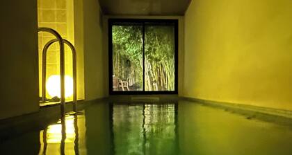 VILLA CENTRE VILLE PISCINE INTĂRIEURE CHAUFFĂE