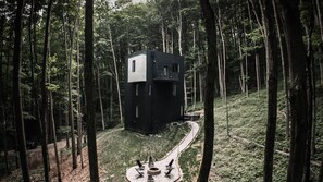 Une cabane moderne aux couleurs sombres, située dans une forêt, avec un chemin de gravier menant à l’entrée.