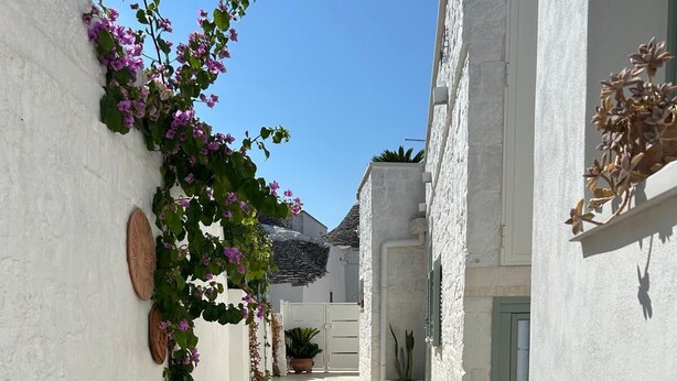 A narrow, sunlit corridor with white walls, potted plants, and a view of a distant mountain. - Montesanto 60 Suite in the historic center of Alberobello (Alberobello)