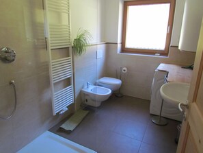 Hair dryer, bidet, towels, soap