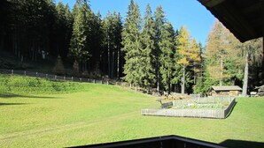 A view of a grassy area with a wooden fence, trees, and a building in the background.