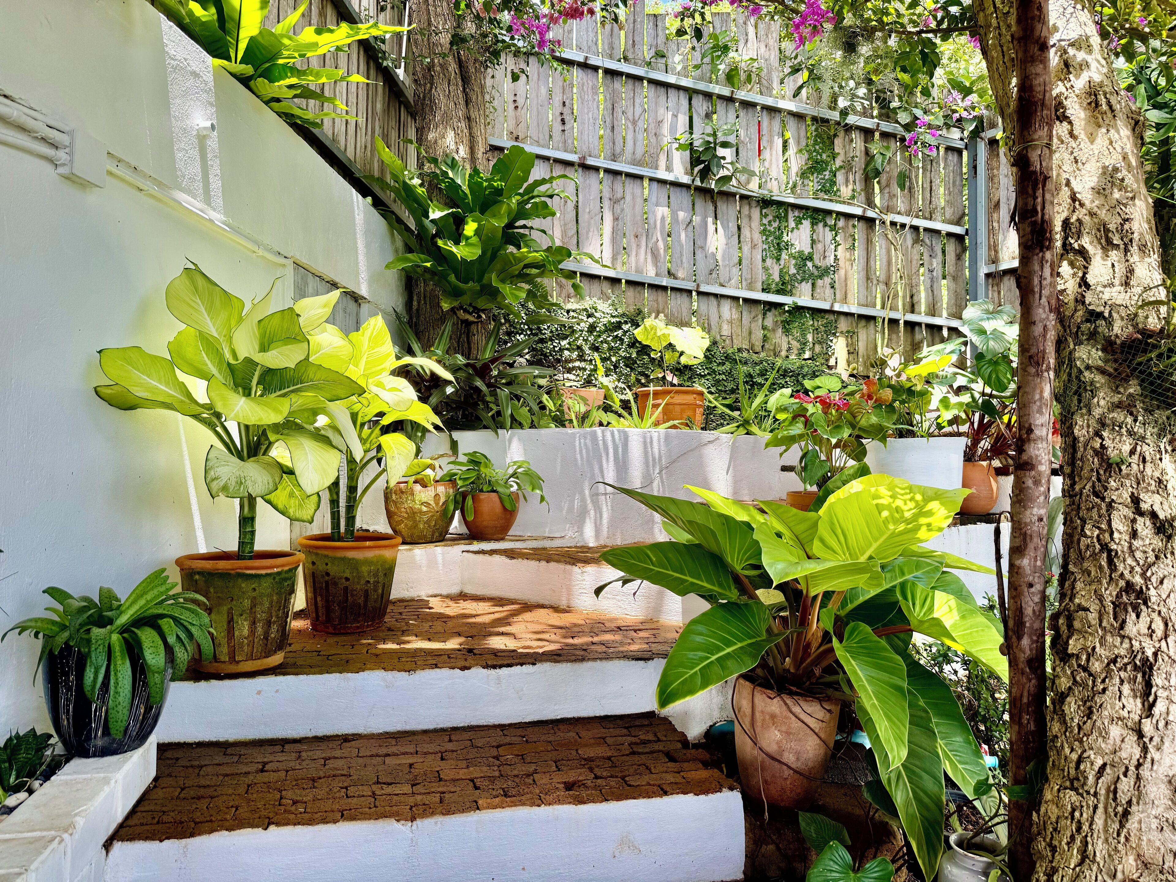 A staircase with potted plants, a wooden fence, and a tree trunk.