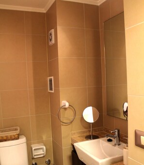 Hair dryer, towels, soap, toilet paper