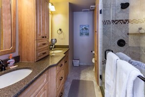 Shower, hair dryer