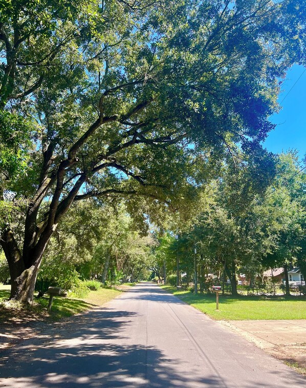 A tree-lined residential street with houses on the right.