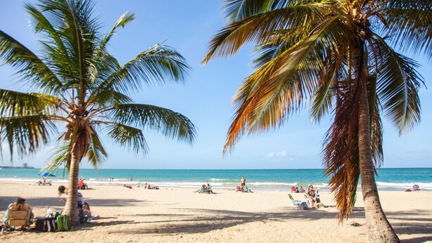 Una playa con palmeras, gente tomando el sol y el océano al fondo.