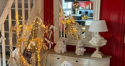 Maison de ville avec sa décoration de noël à 800 mÚtres du centre-ville !