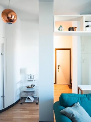 Smart-TV, Kamin