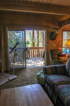 Smart TV, fireplace, video games