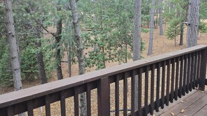 A wooden deck with a view of a forest of pine trees. - Relaxing cabin in the woods. Unplug. Listen to the birds.  Smell the pines. (Pioneer)