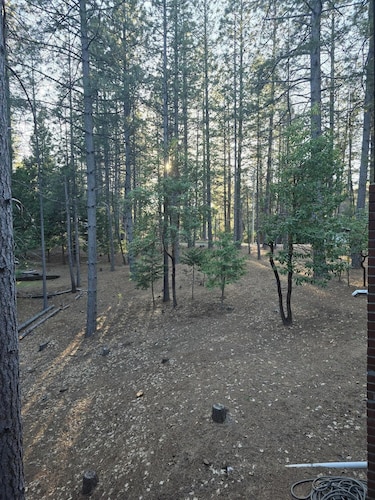 Relaxing cabin in the woods. Unplug. Listen to the birds.  Smell the pines.