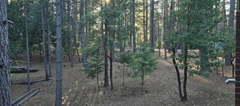 Relaxing cabin in the woods. Unplug. Listen to the birds.  Smell the pines.