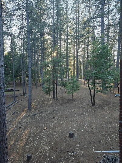 Relaxing cabin in the woods. Unplug. Listen to the birds. Smell the pines.