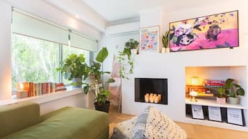 Télévision, cheminée, livres, espaces bureaux