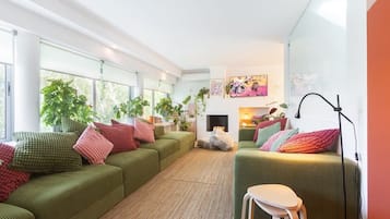 Télévision, cheminée, livres, espaces bureaux