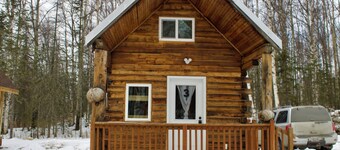 Petite Cabin With Ladder Loft 