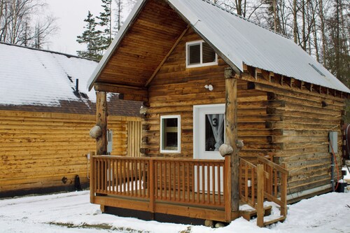 Petite Cabin With Ladder Loft
