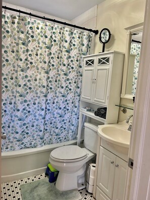 Hair dryer, bidet, towels, soap