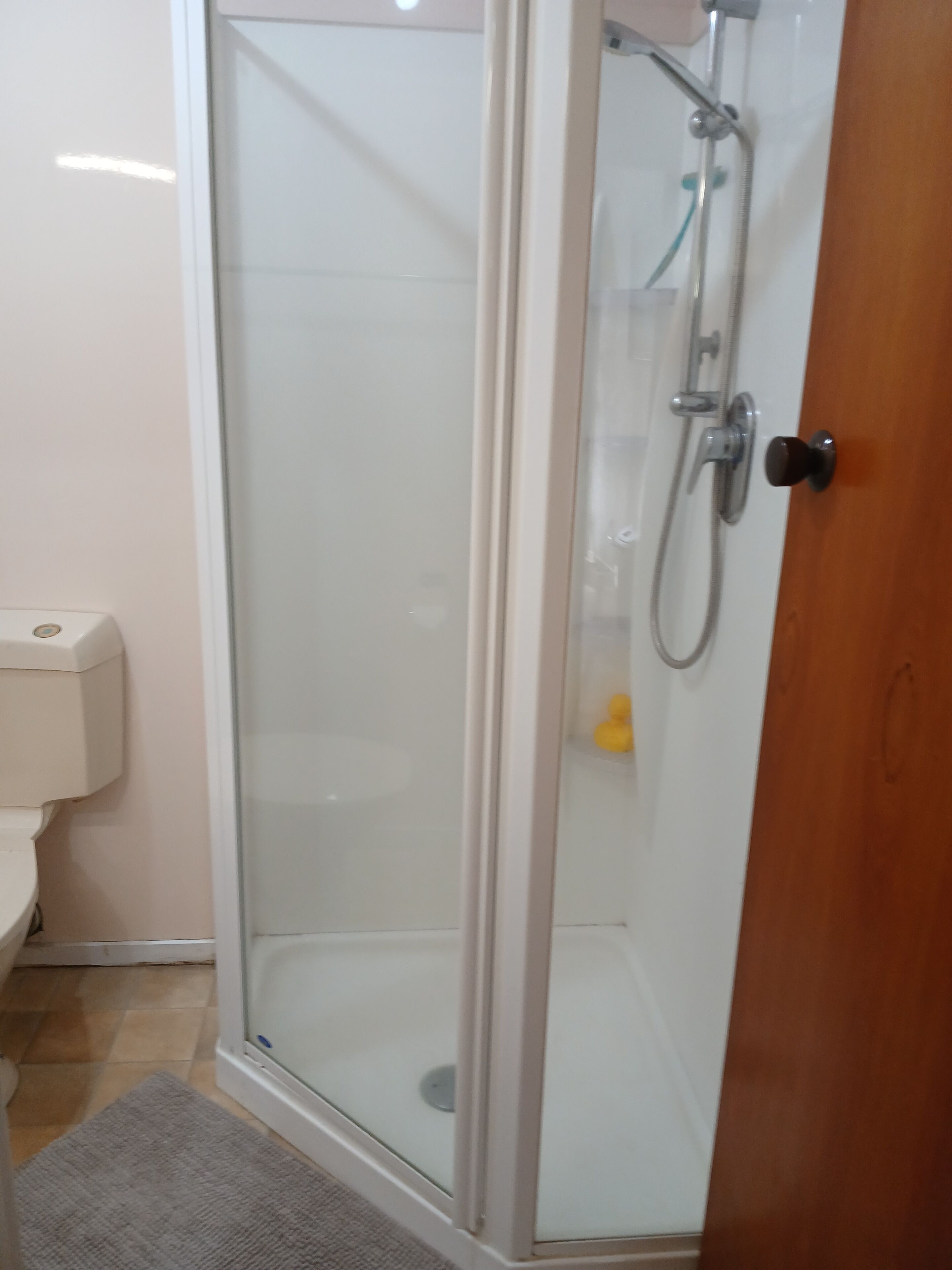Eine gläserne Duschkabine mit Holztür, eine Toilette und ein gelber Gummiente an der Wand.