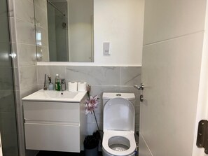 A modern bathroom with a white sink, a toilet, and a mirror above the sink.