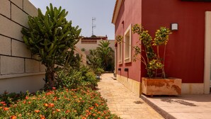 A narrow pathway flanked by red and beige buildings, with a variety of cacti and flowering plants.
