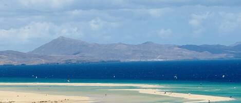 بالقرب من الشاطئ