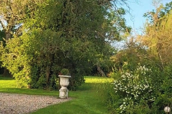 House | Property grounds