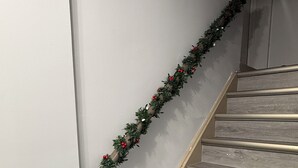 Uklassifisert bilde, 5 av 22, knapp