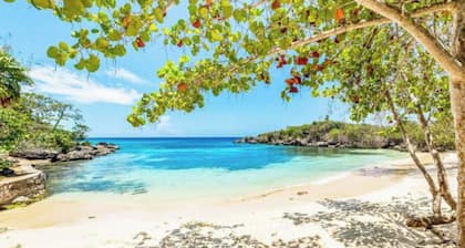 15min to Ocho Rios-Family sized 2bed/2bath-Pool-BBQ Grill-100Mbps-Gated Complex