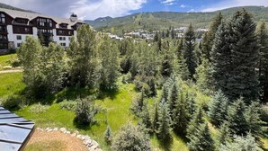 Vista de un complejo turístico de montaña con varios edificios, un bosque denso y un cielo despejado.