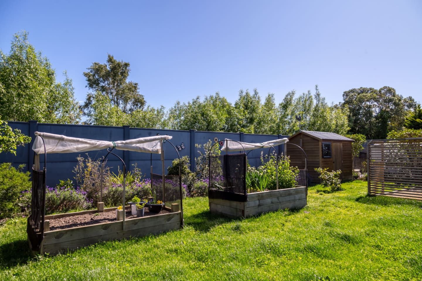 A garden with raised beds and a wooden shed.