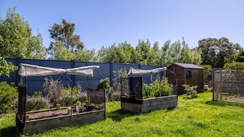 A garden with raised beds and a wooden shed.